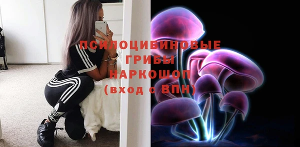 соль курить ск Белокуриха