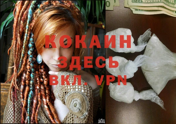 индика Балабаново