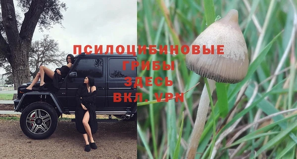индика Балабаново