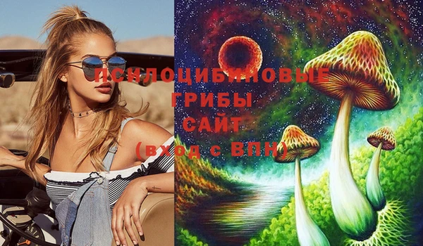 тгк Балахна