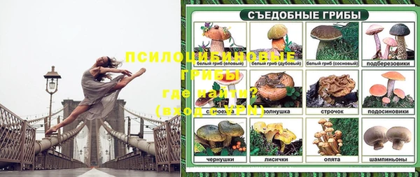 тгк Балахна