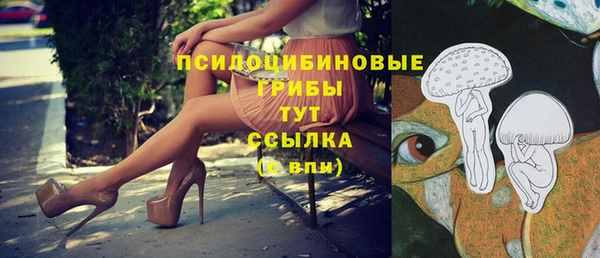 соль курить ск Белокуриха
